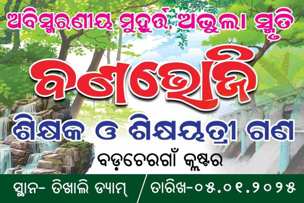 thumbnail Picnic Party Flex Banner PSD Template Bundle  Editable School College Picnic Banner Designs Pack